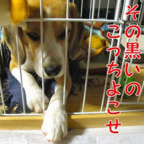 A11fc5a0 b357 432b 8b0d c678b864a441 1681088007708