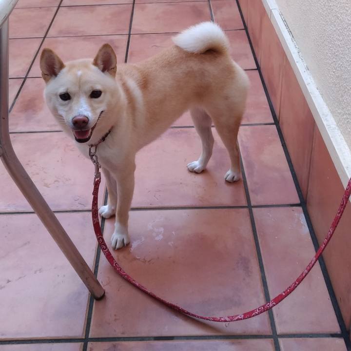 A11fca90 b647 4c76 bc5e 41e7c3c22983 1540637951756