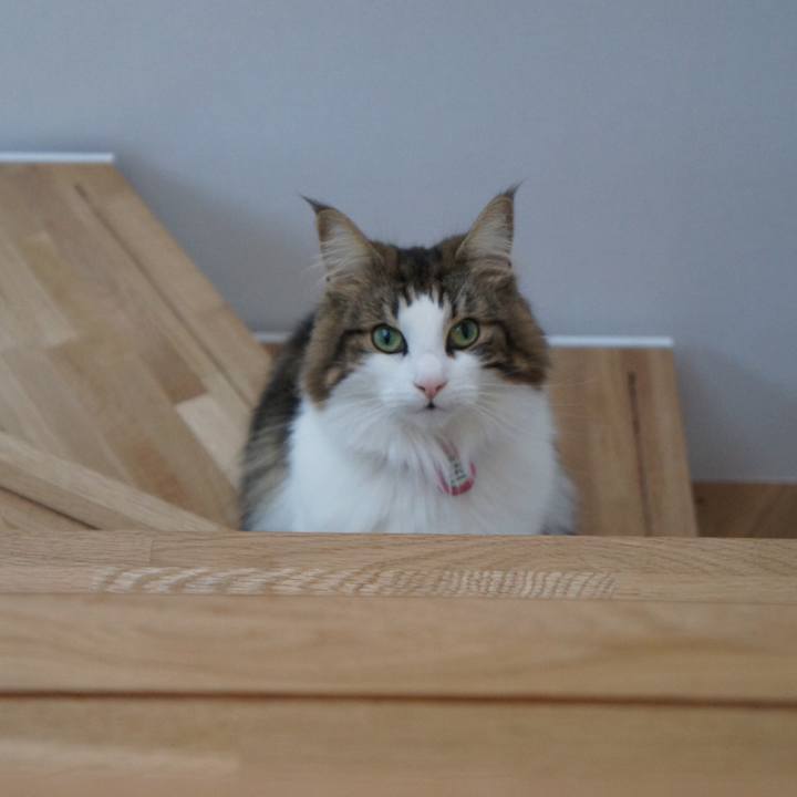 A11fccd6 3020 493f bfcc e9a49add6a75 1517488875375