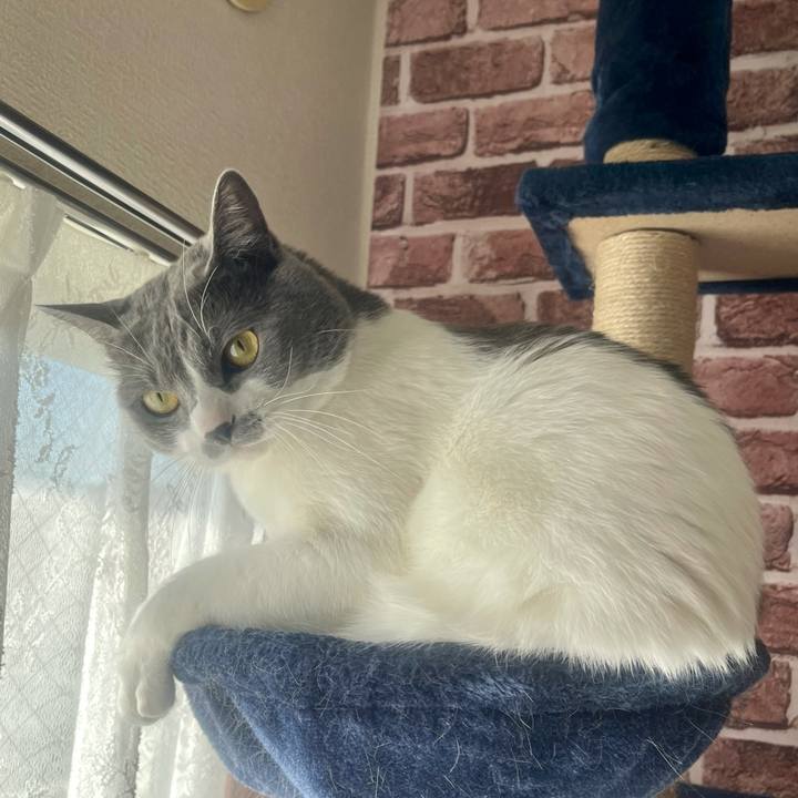 A11fd721 75ac 49e0 acd6 09ad737fd05e 1637800797186