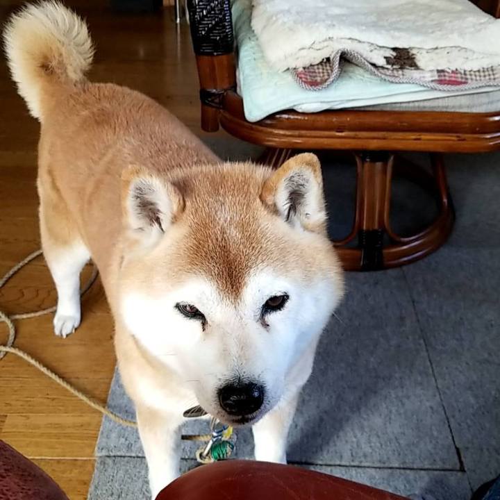 A12044a7 e523 4a76 8c43 240c657b90fe 1649137392629