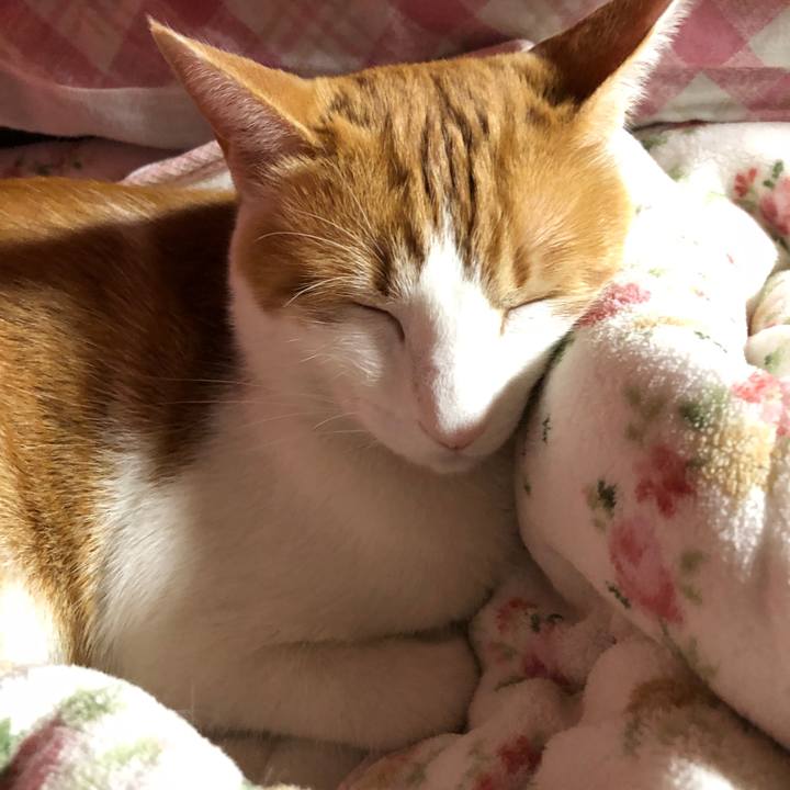 A12067d9 77db 4efa 9717 7abfe8ef52ed 1551620331319