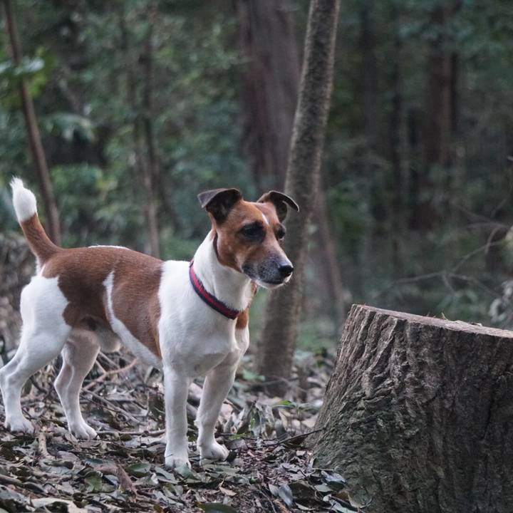 A1207e77 5fa5 46bc a5e2 d2e6e77387ea 1539210633760