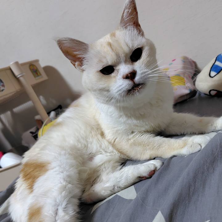 A1208952 508b 47a1 8ead 95f8ade32468 1749994617881