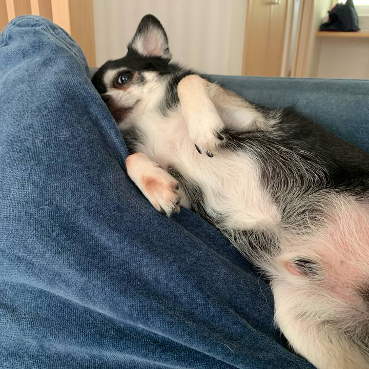 A12092c4 bb1c 4cbb 9219 de82579a64f0 1658628512432