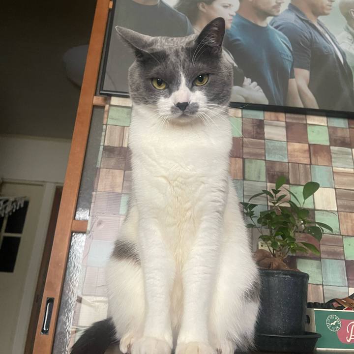 A1209560 7ab4 43e5 ab6b 19cd3bbe79c5 1708842404140