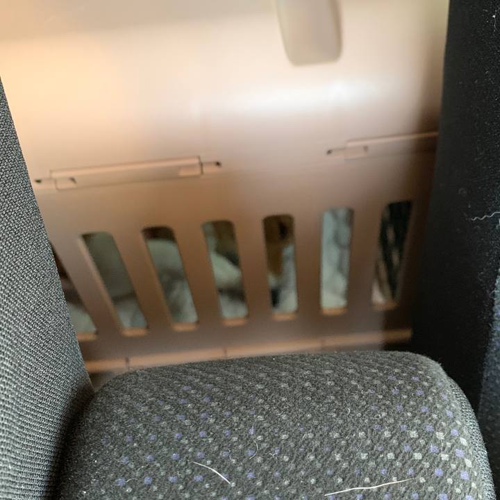 A120a8b2 42d4 4766 8e11 4e5eb54106b5 1603628420092