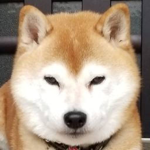 A120e39c 4d14 4b4d 95a1 1957bb0d3074 1603358172264