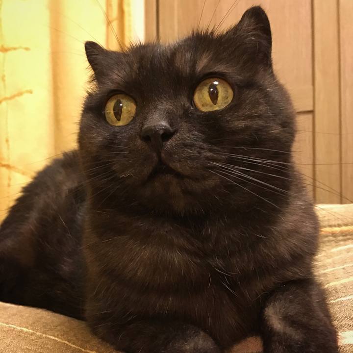 A1210879 c3eb 47c3 a7c2 d3ac2c680f40 1529409983441