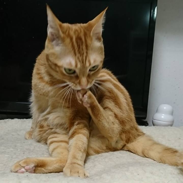 A1211d82 9c02 49b5 98ac 6cdd9b2c4c41 1550825967800