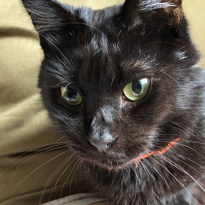 A121aab1 aa98 4f77 b0be c7a79275ee4a 1571701459968