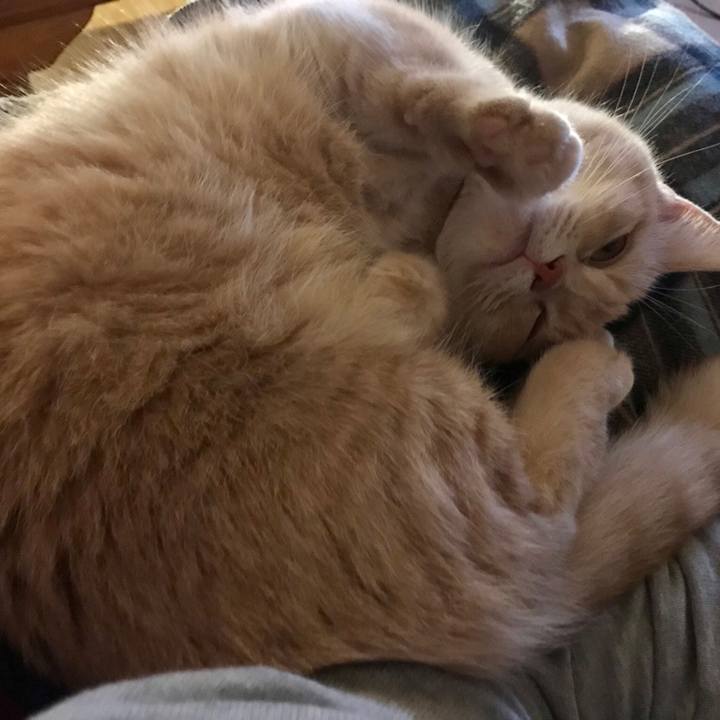 A121b0cd bc6f 4198 bc7f c97c94d63cf0 1539556688258