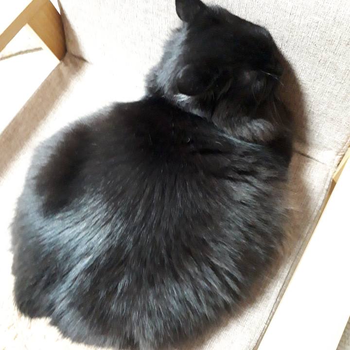 A121cd66 b287 4236 ab1d 82d8a0cb1bce 1517488230700