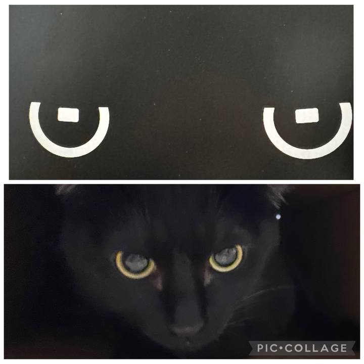 A121e594 38fa 4aea b54e c098702218c3 1758451682014