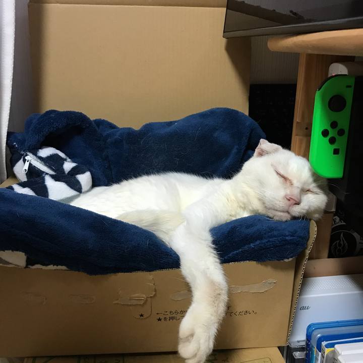 A121fe96 a539 4fad 98ce 728d39818368 1539168339950