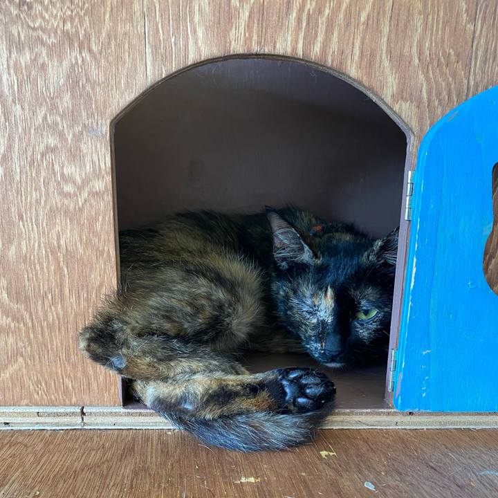 A12206aa 28d3 4cbd bc8a b0999dae26b8 1718768898737