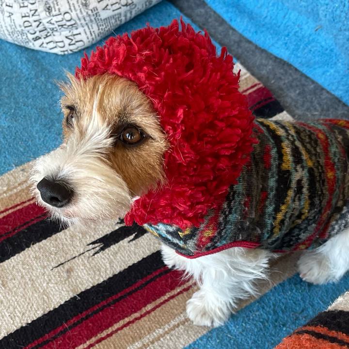 A1221cc4 ebf0 4047 8c09 ab3c9f08e971 1770081620321