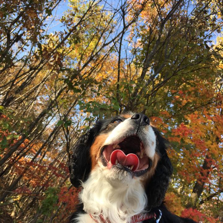 A1223039 73ad 4663 98dc 3ebb2e106870 1509167712008