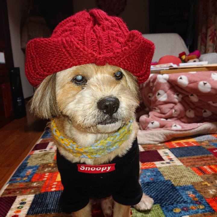 A1225012 3164 4645 a475 dc8f214729b7 1634529496301