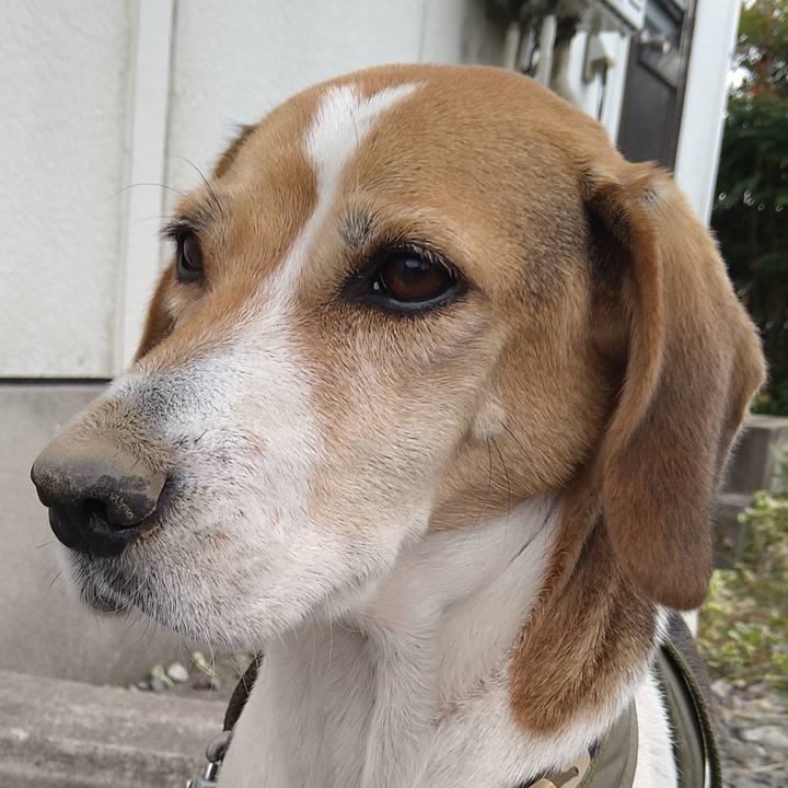 A1225140 bdc6 4f28 b4e6 e175f31fcd78 1669112789139