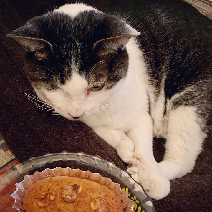 A1225c5c 4e55 4ffe b1cd 38a88c0b9b90 1587128370974