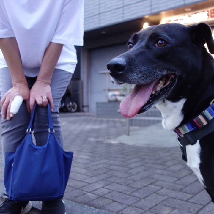 A122ab6d 4685 4b9f a592 702d30950db5 1654080634667