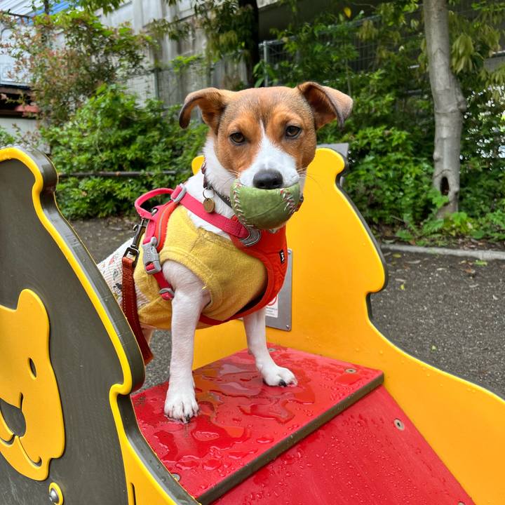 A122cab5 c0df 4df3 b93a 5b0e46d46ff5 1715681023969