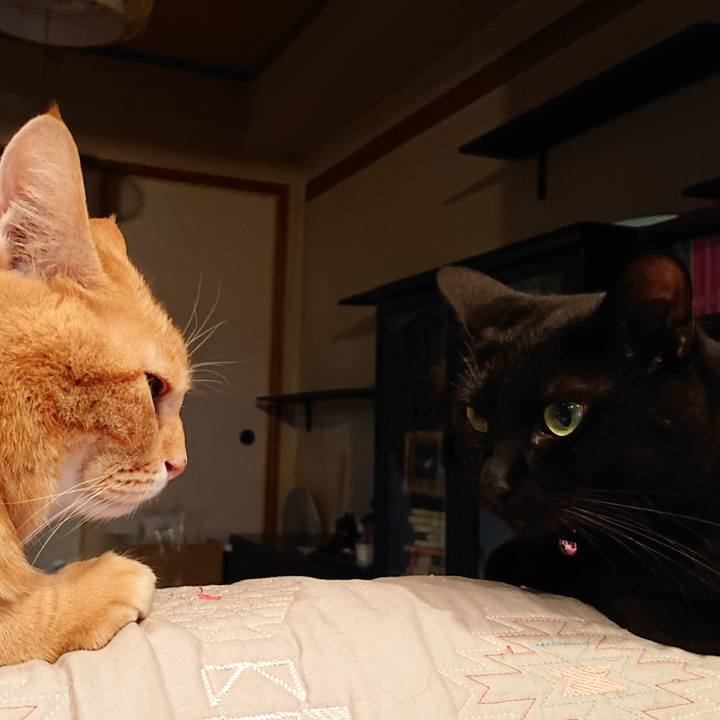 A122e183 e04a 4d29 b544 9298730d5413 1538144714648