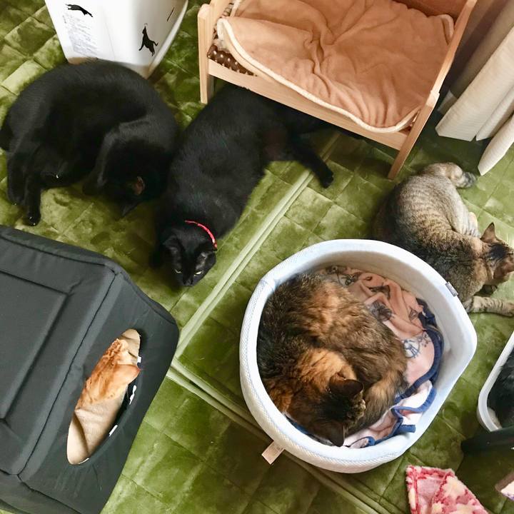 A122fa8d 09f4 4f6f b968 6fa82e87666a 1508387483648