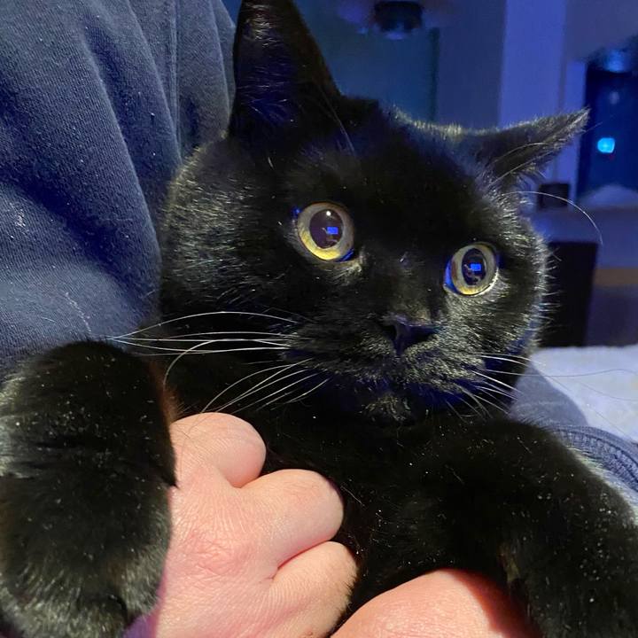 A1230ee0 c4da 4a3e 9bf5 ab924ee9d271 1710245374524