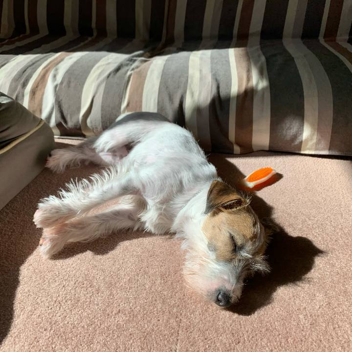 A123257e c0a7 4a91 ad3b c26dfe7cfa1b 1604887975793