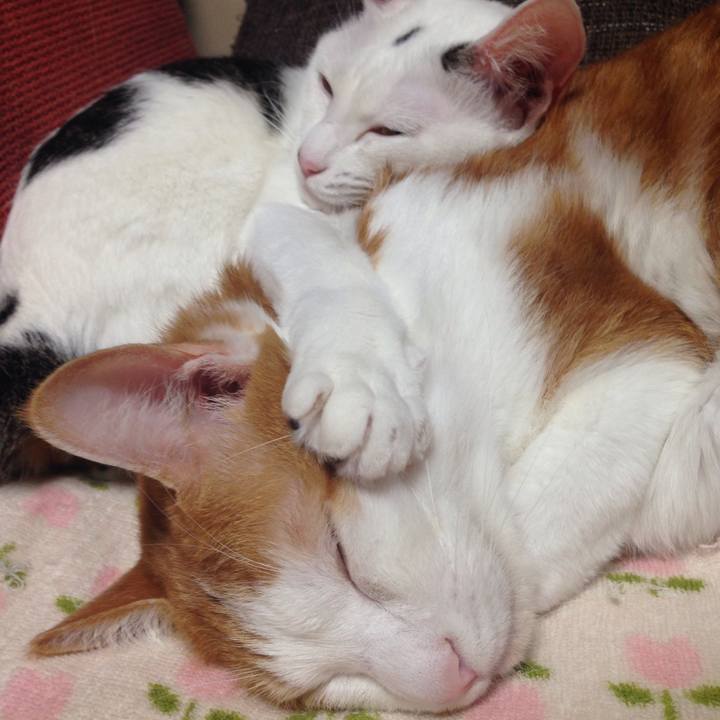 A123ae14 34f0 4dc7 a55b 7eab7322b4c0 1510473963817