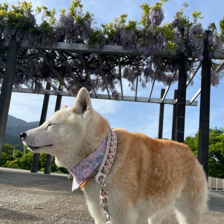 A123ae60 2123 4c93 a2a3 e9fb27051281 1683415434820