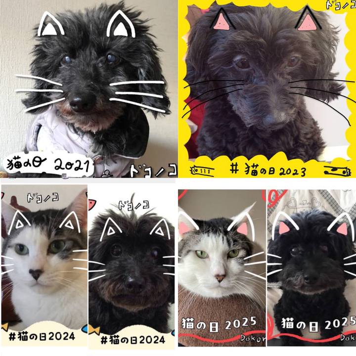 A123b7fb 389f 4666 a37f 0da785c49152 1771628303264