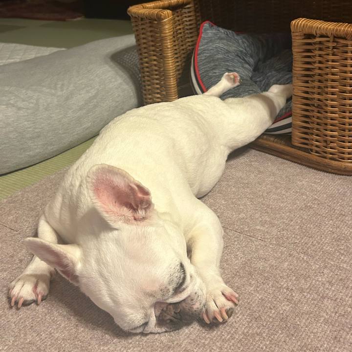 A123bb52 448a 4015 bf11 3d4f1af6097e 1724746514799