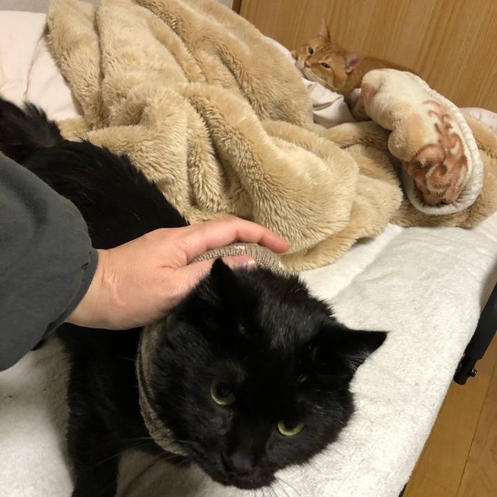 A123f7a7 2f9a 44ca 8038 a6288dc1e126 1612361928099