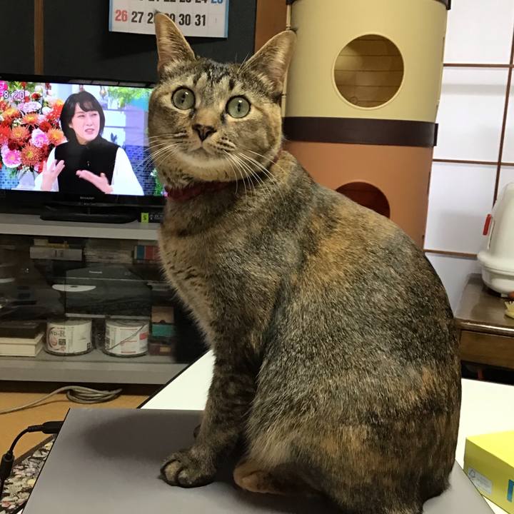 A1242aa0 dae1 4fa8 affc e8aefeea79c6 1639094321337