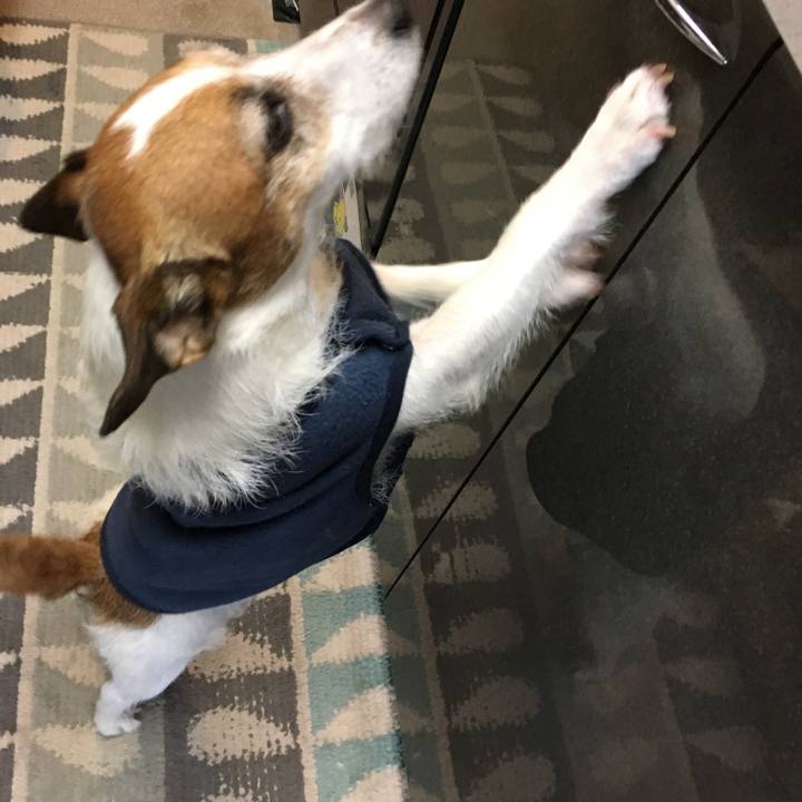 A1242e63 a7b9 4ee6 a8db ddfc9a35e34e 1555989763689