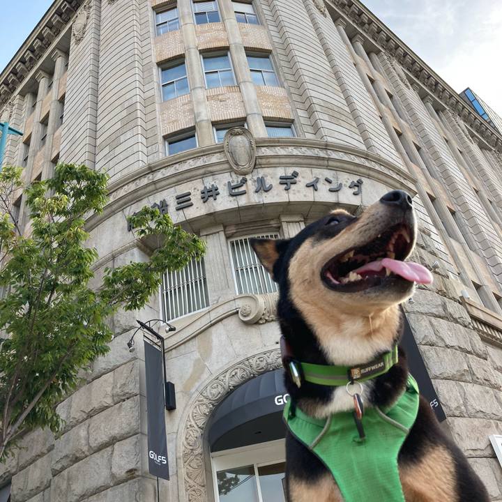 A1242f06 6ff2 482f bf3c 266f4a955555 1598761519806