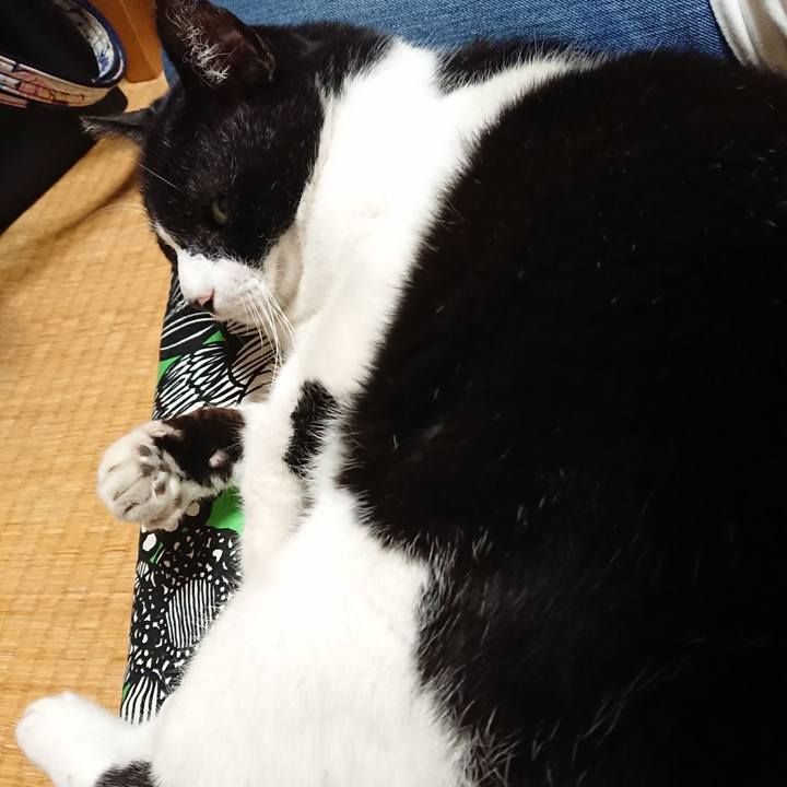 A12449a7 3295 41ae bdc6 44c35b478cad 1666486134855