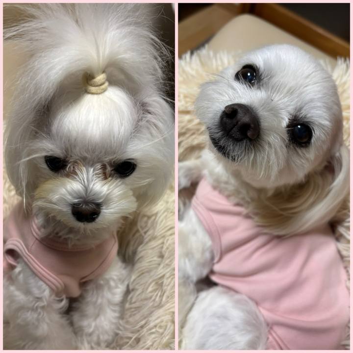 A124508b 94ed 48ae a6df 9d21f52a2e97 1747299928606