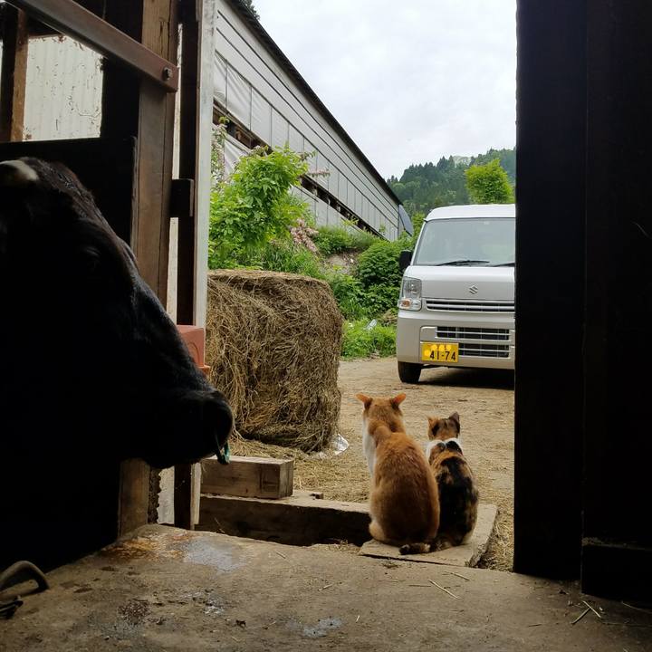 A1247b56 b858 4f83 9969 044e031aaf88 1527131653391