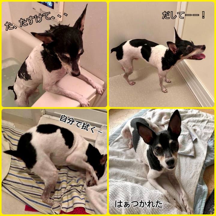 A124a371 de3b 4d3b 8c65 015f4d24a9e7 1663980198410