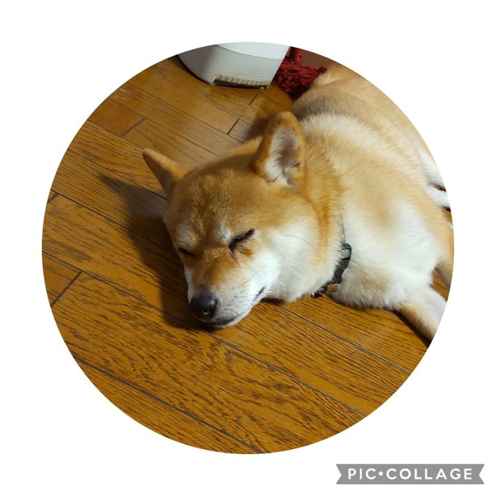 A124b334 ce46 4236 af2d 52daa8e20d23 1691807592723