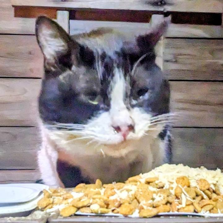 A124d82b b147 4f4a 9e27 33246d5d86c2 1767713086249