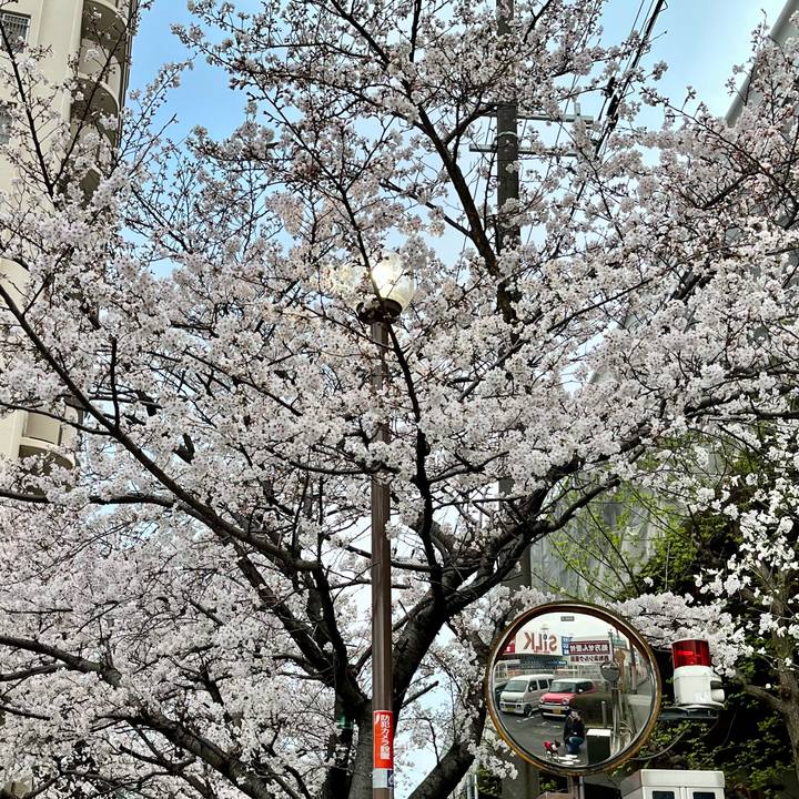 A124dd45 c76d 4828 84c9 6b53ddd4f8b7 1648505588671