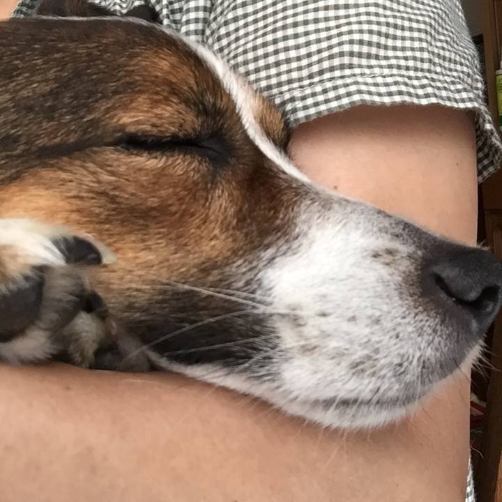 A125231d 9af3 4ee5 bb00 f074900a16f2 1530333834490