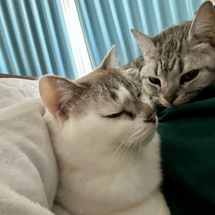 A12529de bb72 4703 a09b 0a9835d11a5c 1707705257146