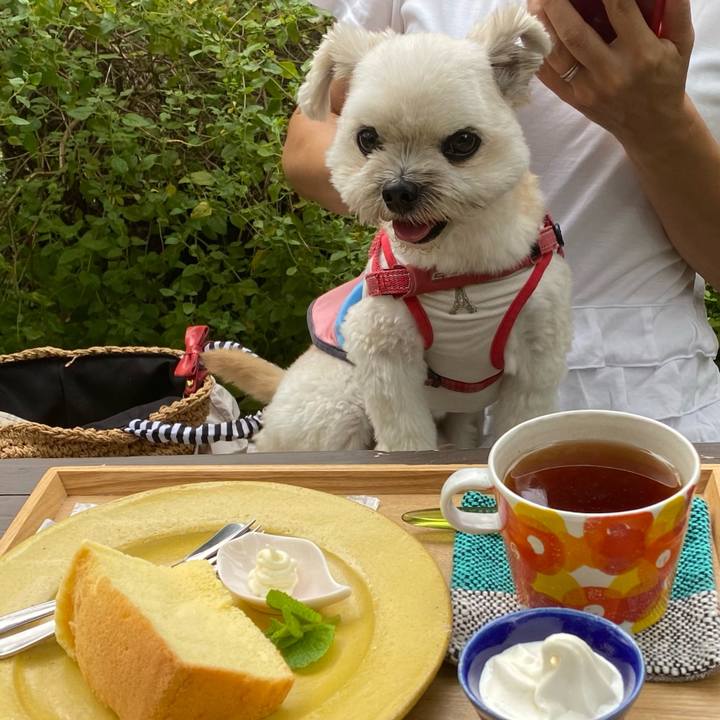 A12592b1 84b1 476c 8ff9 69c212e0f67c 1662089994736