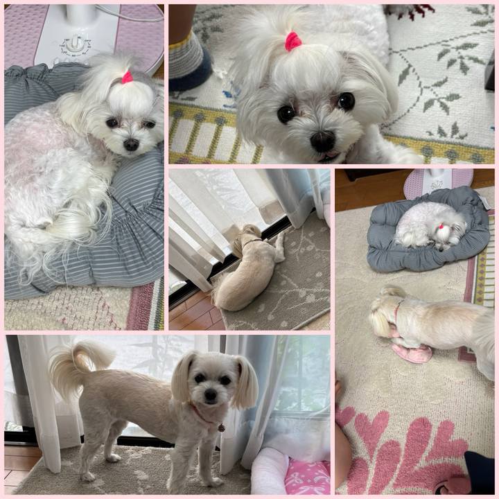 A125a5a8 a418 43c7 bd59 b1e1a2de9c92 1749126549438